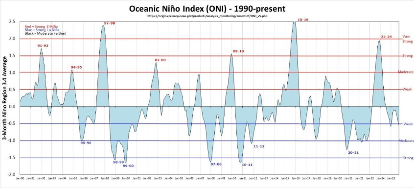 El niño